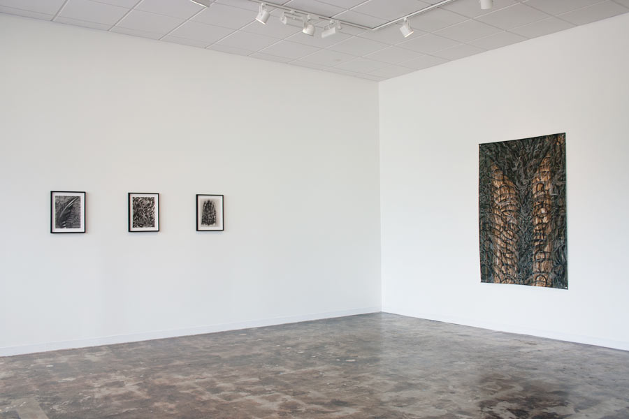 Alejandro Aguilera, Black Drawings, APRIL 9 - JUNE 18, 2011